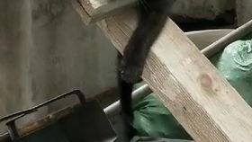 打架吃瓜视角是什么,吃瓜群众视角下的冲突瞬间 第3张 打架吃瓜视角是什么,吃瓜群众视角下的冲突瞬间 第3张