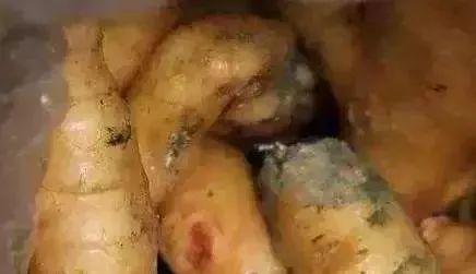 辽宁鞍山铁西吃瓜,瓜果飘香，品味夏日风情  第3张