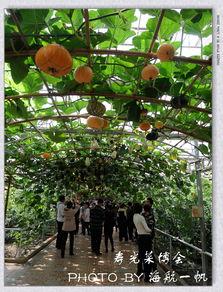 菜博会吃瓜,尽享田园美味盛宴”  第2张