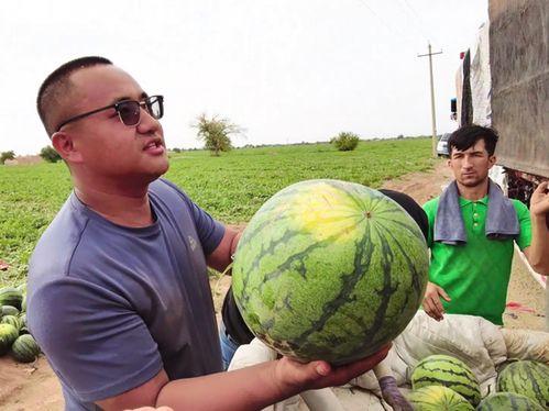 田埂吃瓜照片真实 第3张 田埂吃瓜照片真实 第3张
